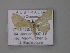  ( - BC ZSM Lep 01939)  @13 [ ] CreativeCommons - Attribution Non-Commercial Share-Alike (2010) Unspecified SNSB, Zoologische Staatssammlung Muenchen