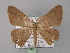  ( - BC ZSM Lep 02283)  @12 [ ] CreativeCommons - Attribution Non-Commercial Share-Alike (2010) Unspecified SNSB, Zoologische Staatssammlung Muenchen