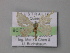  ( - BC ZSM Lep 02604)  @12 [ ] CreativeCommons - Attribution Non-Commercial Share-Alike (2010) Unspecified SNSB, Zoologische Staatssammlung Muenchen