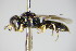  ( - BC ZSM HYM 14797)  @13 [ ] CreativeCommons - Attribution Non-Commercial Share-Alike (2015) Unspecified SNSB, Zoologische Staatssammlung Muenchen