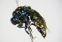  (Chrysis bicolor - BC ZSM HYM 17326)  @14 [ ] CreativeCommons - Attribution Non-Commercial Share-Alike (2015) Unspecified SNSB, Zoologische Staatssammlung Muenchen