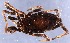  ( - GBOL14715)  @11 [ ] CreativeCommons - Attribution Non-Commercial Share-Alike (2015) SNSB (Staatliche Naurwissenschaftliche Sammlungen Bayerns) SNSB, Zoologische Staatssammlung Muenchen