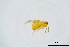 ( - BC-ZSM-HYM-20770-F05)  @13 [ ] CreativeCommons - Attribution Non-Commercial Share-Alike (2015) Unspecified SNSB, Zoologische Staatssammlung Muenchen