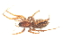  ( - CNC-ARACH-000018-02)  @11 [ ] Unspecified (default): All Rights Reserved  Unspecified Unspecified