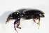  ( - GBOL_Col_FK_0212)  @12 [ ] CreativeCommons - Attribution Non-Commercial Share-Alike (2015) Unspecified SNSB, Zoologische Staatssammlung Muenchen