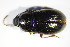  ( - GBOL_Col_FK_0241)  @12 [ ] CreativeCommons - Attribution Non-Commercial Share-Alike (2015) Unspecified SNSB, Zoologische Staatssammlung Muenchen