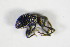  ( - GBOL_Col_FK_0316)  @11 [ ] CreativeCommons - Attribution Non-Commercial Share-Alike (2015) Unspecified SNSB, Zoologische Staatssammlung Muenchen