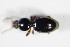  ( - GBOL_Col_FK_0352)  @12 [ ] CreativeCommons - Attribution Non-Commercial Share-Alike (2015) Unspecified SNSB, Zoologische Staatssammlung Muenchen