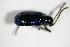  ( - GBOL_Col_FK_1035)  @12 [ ] CreativeCommons - Attribution Non-Commercial Share-Alike (2015) Unspecified SNSB, Zoologische Staatssammlung Muenchen