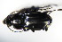  ( - GBOL_Col_FK_1256)  @13 [ ] CreativeCommons - Attribution Non-Commercial Share-Alike (2015) Unspecified SNSB, Zoologische Staatssammlung Muenchen