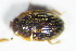  ( - GBOL_Col_FK_1369)  @11 [ ] CreativeCommons - Attribution Non-Commercial Share-Alike (2015) Unspecified SNSB, Zoologische Staatssammlung Muenchen