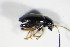  ( - GBOL_Col_FK_1650)  @12 [ ] CreativeCommons - Attribution Non-Commercial Share-Alike (2015) Unspecified SNSB, Zoologische Staatssammlung Muenchen