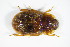  ( - GBOL_Col_FK_2055)  @11 [ ] CreativeCommons - Attribution Non-Commercial Share-Alike (2015) Unspecified SNSB, Zoologische Staatssammlung Muenchen