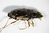  ( - GBOL_Col_FK_2114)  @12 [ ] CreativeCommons - Attribution Non-Commercial Share-Alike (2015) Unspecified SNSB, Zoologische Staatssammlung Muenchen