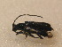 ( - GBOL_Col_FK_3566)  @12 [ ] CreativeCommons - Attribution Non-Commercial Share-Alike (2015) Unspecified SNSB, Zoologische Staatssammlung Muenchen