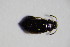  ( - GBOL_Col_FK_3612)  @12 [ ] CreativeCommons - Attribution Non-Commercial Share-Alike (2015) Unspecified SNSB, Zoologische Staatssammlung Muenchen