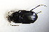  ( - GBOL_Col_FK_5224)  @13 [ ] CreativeCommons - Attribution Non-Commercial Share-Alike (2015) Unspecified SNSB, Zoologische Staatssammlung Muenchen