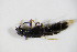  ( - GBOL_Col_FK_5277)  @11 [ ] CreativeCommons - Attribution Non-Commercial Share-Alike (2015) Unspecified SNSB, Zoologische Staatssammlung Muenchen