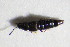  ( - GBOL_Col_FK_7434)  @12 [ ] CreativeCommons - Attribution Non-Commercial Share-Alike (2015) Unspecified SNSB, Zoologische Staatssammlung Muenchen