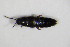  ( - GBOL_Col_FK_7553)  @11 [ ] CreativeCommons - Attribution Non-Commercial Share-Alike (2015) Unspecified SNSB, Zoologische Staatssammlung Muenchen