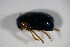  ( - GBOL_Col_FK_5064)  @12 [ ] CreativeCommons - Attribution Non-Commercial Share-Alike (2015) Unspecified SNSB, Zoologische Staatssammlung Muenchen