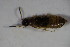  ( - GBOL_Col_FK_5094)  @13 [ ] CreativeCommons - Attribution Non-Commercial Share-Alike (2015) Unspecified SNSB, Zoologische Staatssammlung Muenchen