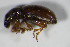  ( - GBOL_Col_FK_5104)  @13 [ ] CreativeCommons - Attribution Non-Commercial Share-Alike (2015) Unspecified SNSB, Zoologische Staatssammlung Muenchen