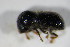  ( - GBOL_Col_FK_5116)  @13 [ ] CreativeCommons - Attribution Non-Commercial Share-Alike (2015) Unspecified SNSB, Zoologische Staatssammlung Muenchen