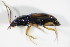  ( - GBOL_Col_FK_2197)  @12 [ ] CreativeCommons - Attribution Non-Commercial Share-Alike (2015) Unspecified SNSB, Zoologische Staatssammlung Muenchen