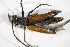  ( - GBOL_Col_FK_2765)  @13 [ ] CreativeCommons - Attribution Non-Commercial Share-Alike (2015) Unspecified SNSB, Zoologische Staatssammlung Muenchen