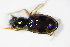  ( - GBOL_Col_FK_2838)  @12 [ ] CreativeCommons - Attribution Non-Commercial Share-Alike (2015) Unspecified SNSB, Zoologische Staatssammlung Muenchen