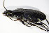  ( - GBOL_Col_FK_2929)  @12 [ ] CreativeCommons - Attribution Non-Commercial Share-Alike (2015) Unspecified SNSB, Zoologische Staatssammlung Muenchen