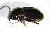  ( - GBOL_Col_FK_3214)  @12 [ ] CreativeCommons - Attribution Non-Commercial Share-Alike (2015) Unspecified SNSB, Zoologische Staatssammlung Muenchen