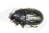  ( - GBOL_Col_FK_3322)  @13 [ ] CreativeCommons - Attribution Non-Commercial Share-Alike (2015) Unspecified SNSB, Zoologische Staatssammlung Muenchen