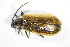  ( - GBOL_Col_FK_3380)  @14 [ ] CreativeCommons - Attribution Non-Commercial Share-Alike (2015) Unspecified SNSB, Zoologische Staatssammlung Muenchen