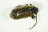  ( - GBOL04272)  @13 [ ] CreativeCommons - Attribution Non-Commercial Share-Alike (2015) Unspecified SNSB, Zoologische Staatssammlung Muenchen