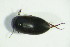  ( - GBOL04956)  @12 [ ] CreativeCommons - Attribution Non-Commercial Share-Alike (2015) Unspecified SNSB, Zoologische Staatssammlung Muenchen
