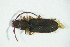  ( - GBOL04984)  @12 [ ] CreativeCommons - Attribution Non-Commercial Share-Alike (2015) Unspecified SNSB, Zoologische Staatssammlung Muenchen