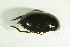  ( - GBOL07702)  @13 [ ] CreativeCommons - Attribution Non-Commercial Share-Alike (2015) Unspecified SNSB, Zoologische Staatssammlung Muenchen