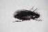  ( - GBOL10119)  @11 [ ] CreativeCommons - Attribution Non-Commercial Share-Alike (2015) Unspecified SNSB, Zoologische Staatssammlung Muenchen