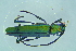  ( - GBOL18120)  @11 [ ] CreativeCommons - Attribution Non-Commercial Share-Alike (2015) Unspecified SNSB, Zoologische Staatssammlung Muenchen
