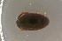  ( - GBOL19601)  @11 [ ] CreativeCommons - Attribution Non-Commercial Share-Alike (2016) SNSB, Staatliche Naturwissenschaftliche Sammlungen Bayerns ZSM (SNSB, Zoologische Staatssammlung Muenchen)
