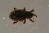  ( - GBOL19652)  @11 [ ] CreativeCommons - Attribution Non-Commercial Share-Alike (2016) SNSB, Staatliche Naturwissenschaftliche Sammlungen Bayerns ZSM (SNSB, Zoologische Staatssammlung Muenchen)