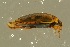 ( - GBOL19698)  @11 [ ] CreativeCommons - Attribution Non-Commercial Share-Alike (2016) SNSB, Staatliche Naturwissenschaftliche Sammlungen Bayerns ZSM (SNSB, Zoologische Staatssammlung Muenchen)