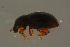  ( - GBOLBB165)  @11 [ ] CreativeCommons - Attribution Non-Commercial Share-Alike (2016) SNSB, Staatliche Naturwissenschaftliche Sammlungen Bayerns ZSM (SNSB, Zoologische Staatssammlung Muenchen)
