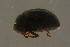  ( - GBOLBB185)  @11 [ ] CreativeCommons - Attribution Non-Commercial Share-Alike (2016) SNSB, Staatliche Naturwissenschaftliche Sammlungen Bayerns ZSM (SNSB, Zoologische Staatssammlung Muenchen)