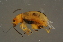  ( - GBOLBB190)  @11 [ ] CreativeCommons - Attribution Non-Commercial Share-Alike (2016) SNSB, Staatliche Naturwissenschaftliche Sammlungen Bayerns ZSM (SNSB, Zoologische Staatssammlung Muenchen)