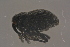  ( - GBOLBB349)  @11 [ ] CreativeCommons - Attribution Non-Commercial Share-Alike (2016) SNSB, Staatliche Naturwissenschaftliche Sammlungen Bayerns ZSM (SNSB, Zoologische Staatssammlung Muenchen)