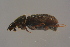  ( - GBOLBB365)  @11 [ ] CreativeCommons - Attribution Non-Commercial Share-Alike (2016) SNSB, Staatliche Naturwissenschaftliche Sammlungen Bayerns ZSM (SNSB, Zoologische Staatssammlung Muenchen)