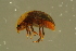  ( - GBOLBB473)  @11 [ ] CreativeCommons - Attribution Non-Commercial Share-Alike (2016) SNSB, Staatliche Naturwissenschaftliche Sammlungen Bayerns ZSM (SNSB, Zoologische Staatssammlung Muenchen)